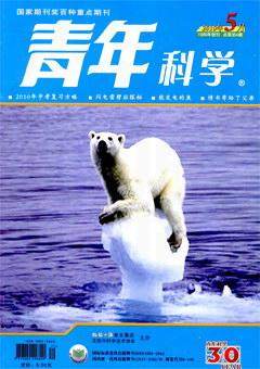2010年第5期