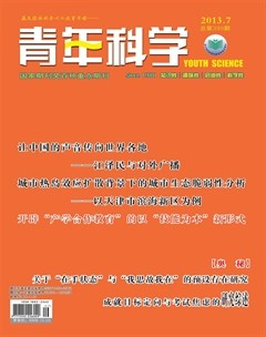 2013年第7期