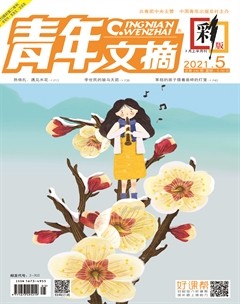 青年文摘(彩版)