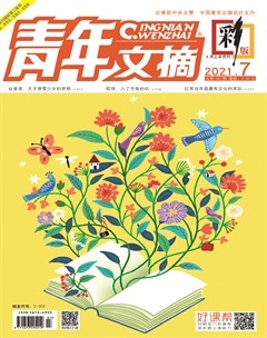 青年文摘(彩版)