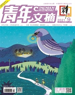 青年文摘(彩版)