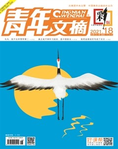 青年文摘(彩版)