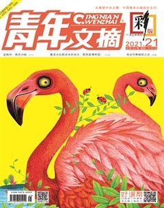 青年文摘(彩版)