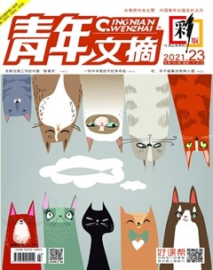青年文摘(彩版)