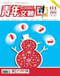 青年文摘(彩版)