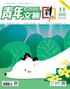 青年文摘(彩版)