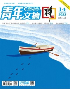 青年文摘(彩版)