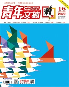 青年文摘(彩版)