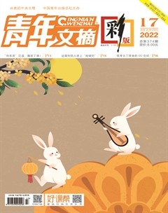 青年文摘(彩版)