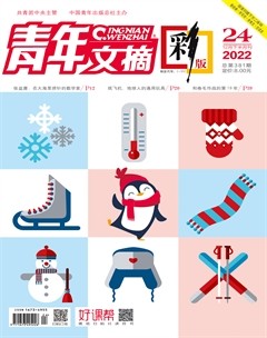 青年文摘(彩版)
