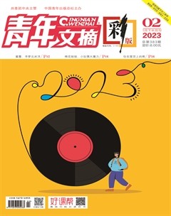 青年文摘(彩版)