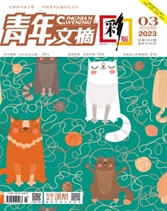 青年文摘(彩版)