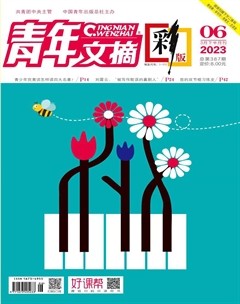 青年文摘(彩版)