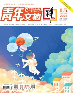 青年文摘(彩版)