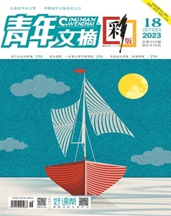 青年文摘(彩版)