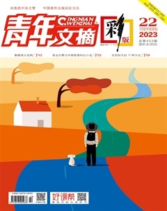 青年文摘(彩版)