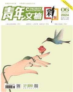 青年文摘(彩版)