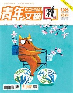 青年文摘(彩版)