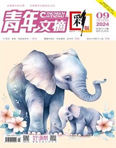 青年文摘(彩版)