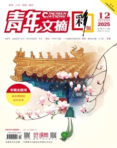 青年文摘(彩版)