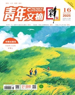 青年文摘(彩版)