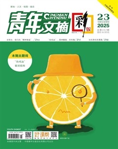青年文摘(彩版)