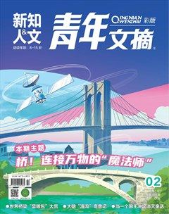青年文摘(彩版)