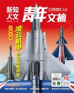 青年文摘(彩版)