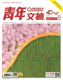 青年文摘