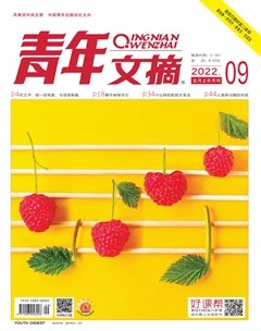 青年文摘
