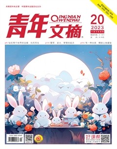 青年文摘