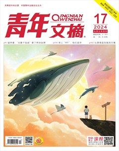 2024年第17期