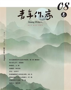 青年作家