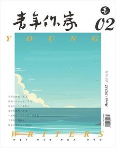 青年作家