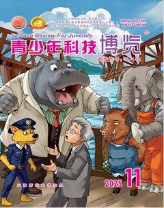 青少年科技博览