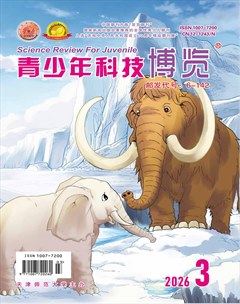 青少年科技博览