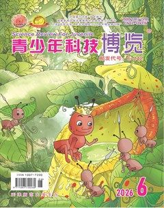 青少年科技博览