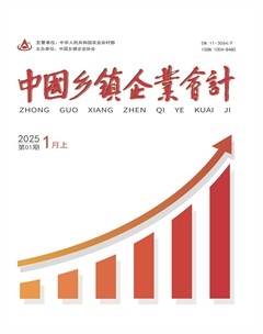 中国乡镇企业会计