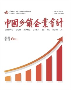 中国乡镇企业会计