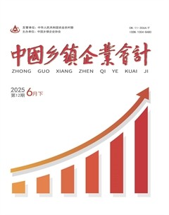中国乡镇企业会计