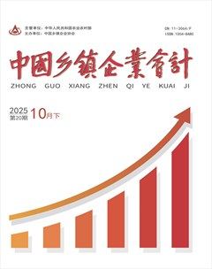 中国乡镇企业会计