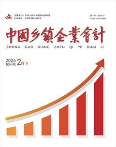 中国乡镇企业会计