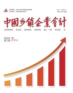 中国乡镇企业会计
