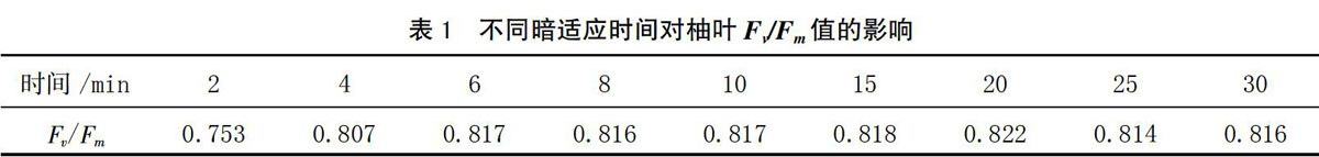zoޛ)j馒H>׬Y[aoZhfKahao߾;N=!oZhś|ׯy[fZKi$z]'M=_zM{4ivȬaxGyl}z{R[ӭ歙ishI睖)౼)$zGѓjYCFbaN&),W%j}VQRb_Qn&