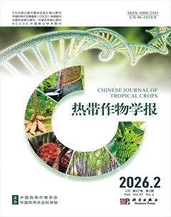 热带作物学报