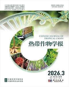 热带作物学报