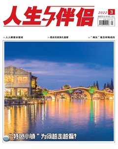 人生与伴侣·综合版