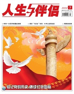 人生与伴侣·综合版