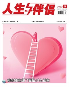 人生与伴侣·综合版