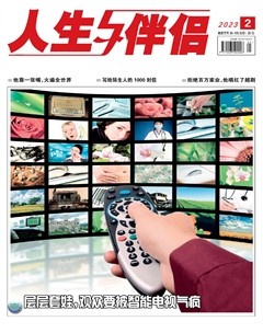 人生与伴侣·综合版
